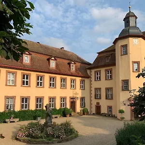 Private In Historic Castle From 1608 With Tenniscourt Apartment Zeitlofs